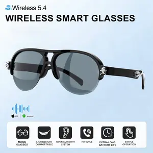 2026 new smart audio glasses, cool skull appearance decoration, can answer calls and play music, anti-blue light, suitable for daily travel, work, outdoor, can be used as