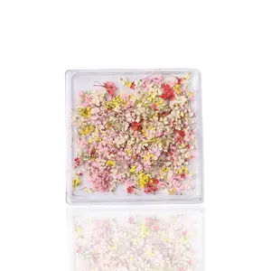 Petal Whispers – Real Dried Flowers for Nails
