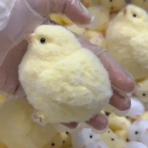 Handmade Silicone Chicks Squishy Toy