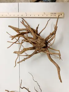 Spider Wood Driftwood Aquarium Drift Wood Aquascape SpiderWood Beautiful Aquarium Wood Drift Wood Fish Tank Decoration