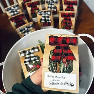 PNW Oregon Evergreen Holiday Stovetop Simmer / Christmas Scented Home Potpourri / Christmas Gift 2024 / Housewarming Gift