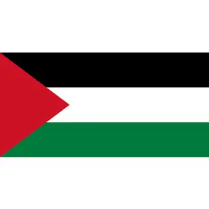 Flag It Vinyl Car Decals Palestine Sticker 2.5" x 4" Not Sure Attribute