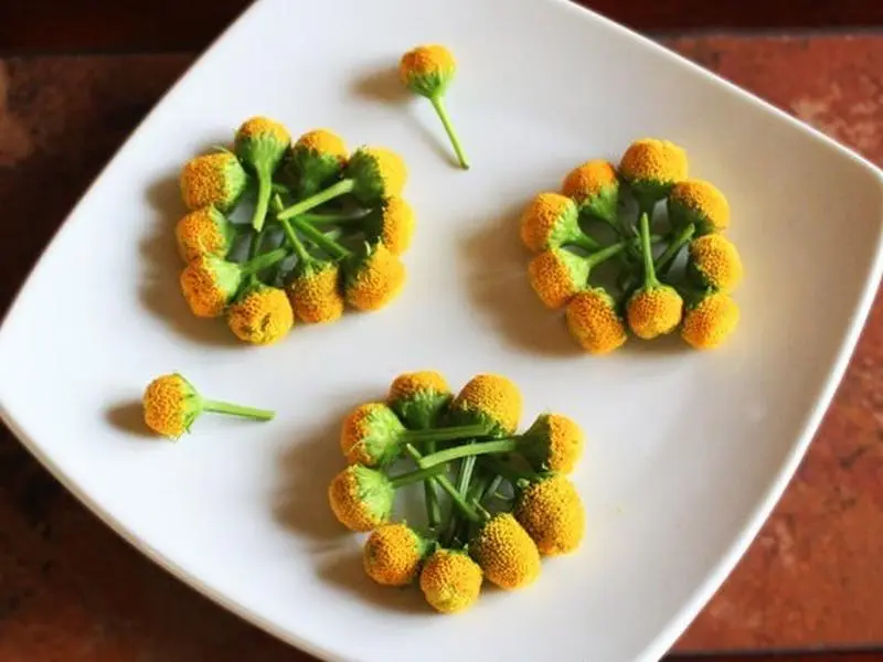 50Pcs Herbal Flower, Dried Buzz Buttons Szechuan Flowers Dried Flowers