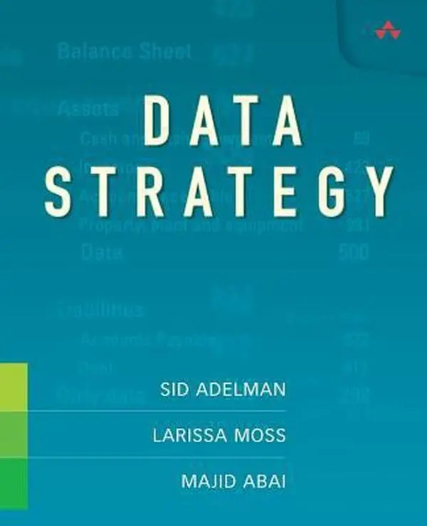 USED-Data Strategy by Adelman, Sid (Paperback)