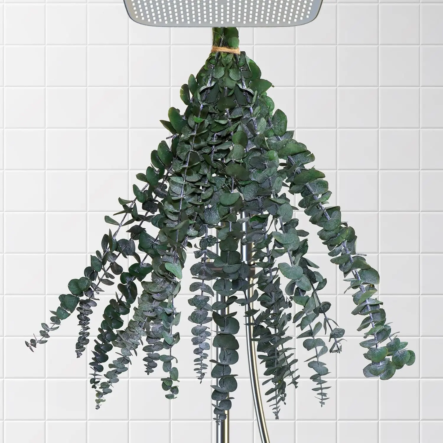 10 count Dried Eucalyptus for Shower Hanging-17''Preserved Real Fresh Eucalyptus for Shower,Green Home Decor,Made from Fresh Eucalyptus Leaves,Shower ,Bathroom Shower Decor,Wedding Decor