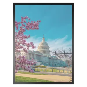 REGALWOVEN Wall Picture Frame for Photo and Poster, Art Photo Frame for Wall Hanging Picture Frames 12x16 Inch Black