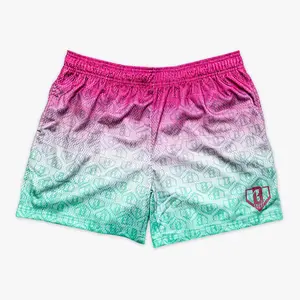 Baseball Lifestyle 101 | Gradient Collection Youth Mesh Shorts - for Youth & Adults | Lightweight & Breathable Summer Sports Shorts for Casual & Outdoor Style | Baseball Training, Gym & Everyday Activewear | Perfect Gift for Him