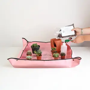 Succulent Terracotta Creations DIY Kit