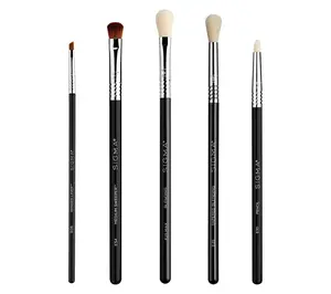Sigma Beauty All About the Eyes Brush Set
