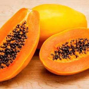 2 Mexico papaya live plant in a 4'' pot /seedings