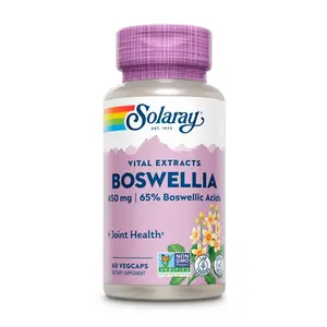Boswellia Resin Extract 450mg