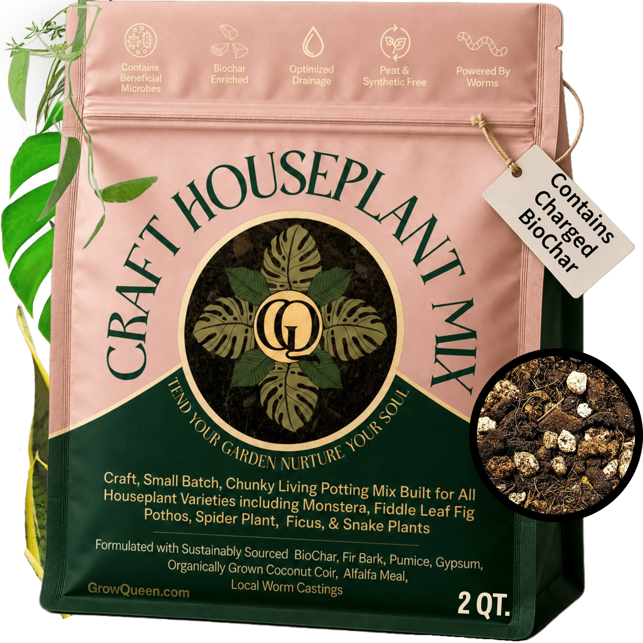 Craft Houseplant Potting Mix