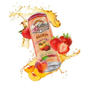 High Ground Elixir 4pk Smaller Size High Ground Elixir Strawberry Peach Fruit Energy Sport Drink Natural Beverage with Mushroom Blend & Vitamin C