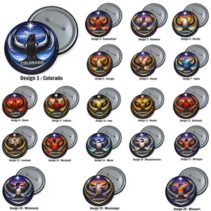 USA State Anti ICE Activist Ver 2 Pin Button, Resistance Symbol Community Solidarity Vinyl, State in US Political Pin Button