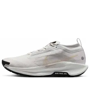 Nike Pegasus Trail 5 Gore-Tex 'Vast Grey Sanddrift' FQ0908-010