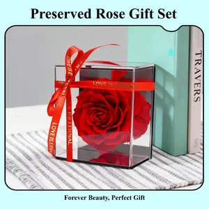 EVERCUTE Super Grade Preserved Rose in Acrylic Display Box – Waterproof Eternal Flower Gift for Girlfriend, Wife or Loved One, Perfect for Anniversary, Valentine’s Day, or Special Occasions, Luxury Forever Rose with Decorative Ribbon bouquet lighted