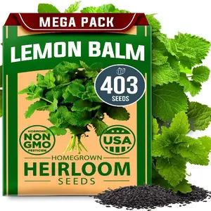 Lemon Balm Seed Pack - 403 Non-GMO Heirloom Herbal Tea Seeds - Bulk Lemon Balm Seeds for Planting Herbal Tea Gardens Indoors or Outdoors - USA Sourced Herb Seeds (Melissa officinalis)
