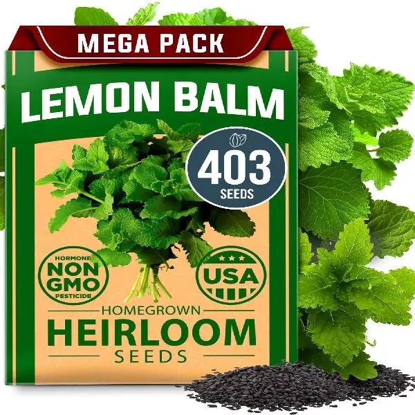 Lemon Balm Seeds – Heirloom Seeds for Planting – Melissa officinalis Herb for Tea, Garden, Indoor or Outdoor Growing – Plant for Pots, Beds & Hydroponics