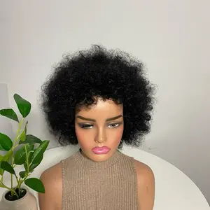 Afro Hair Wig Beautiful Africa Style for Women 100% Human Hair Afro Wig for Belles Dames