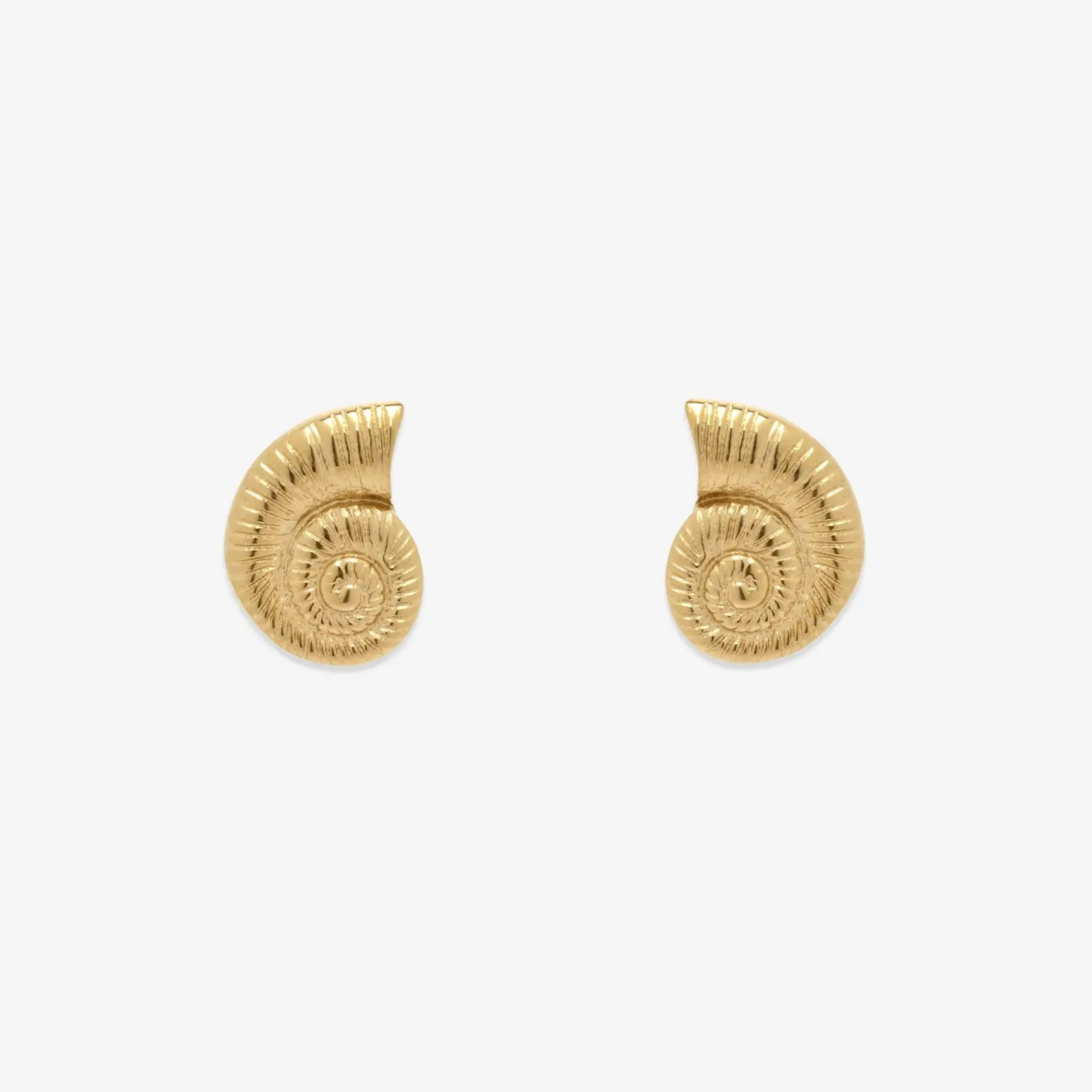 Seashell Stud Earrings Seashell Stud Earrings