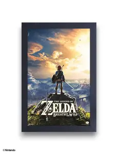 Zelda™: Breath of the Wild Hyrule Gel-Coated Framed Print (11x17)