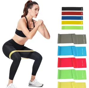 Professional Latex-Free Resistance Bands - Exercise and Stretch Bands for Men and Women, For Workouts and Physical Therapy