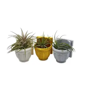 Greco-Roman Magnetic Wall Planter | Pet decor | Terrariums | Jumping Spider