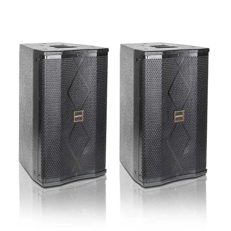 Ampyon LS-10 Professional Karaoke Speaker