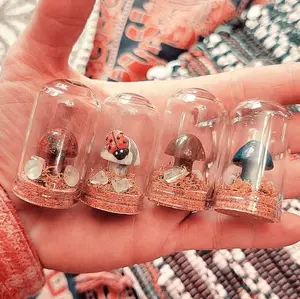 Title:  Genuine Mini Mushroom Terrarium - A Handcrafted Gemstone Surprise!