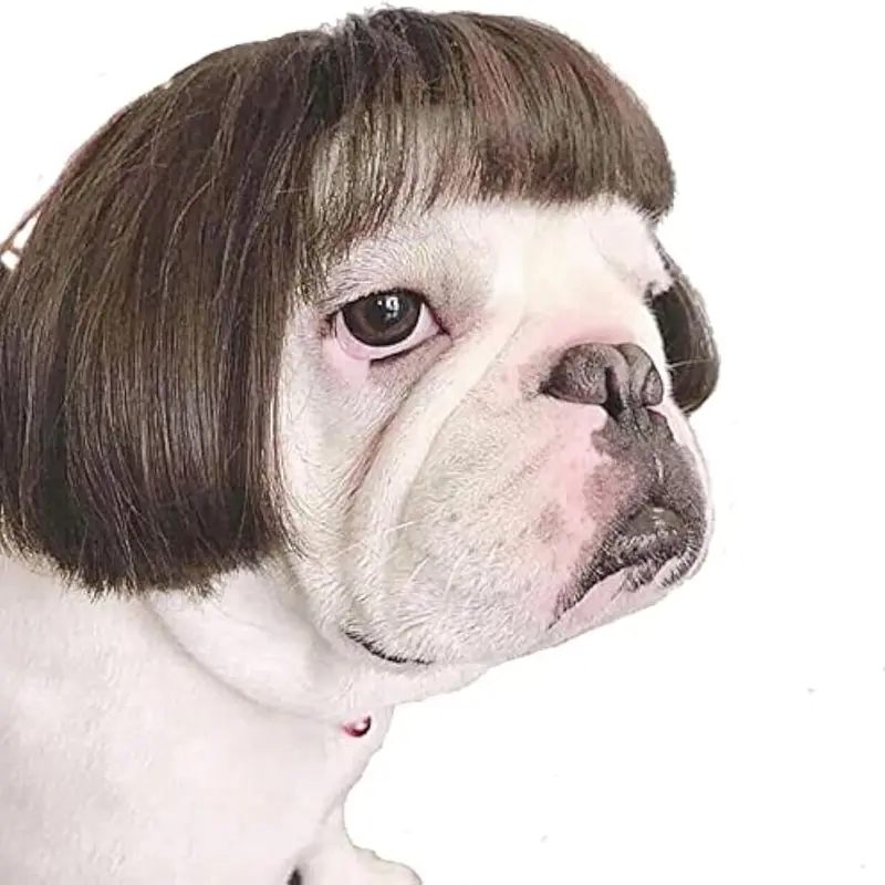 Funny Wig,Pet Wigs for Halloween, Christmas, Parties, Festivals, Wigs for Small Medium and Large Dogs Black Brown Straight