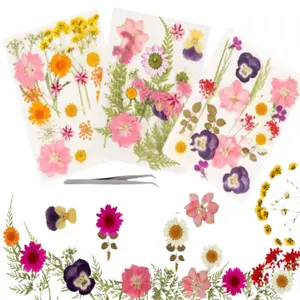 63 Pcs Dried Flowers, Natural Pressed Flowers, DIY Dried Flowers, Mixed Dried Leaves Daisies for DIY Candles, Resin Jewellery, Nail Pendants
