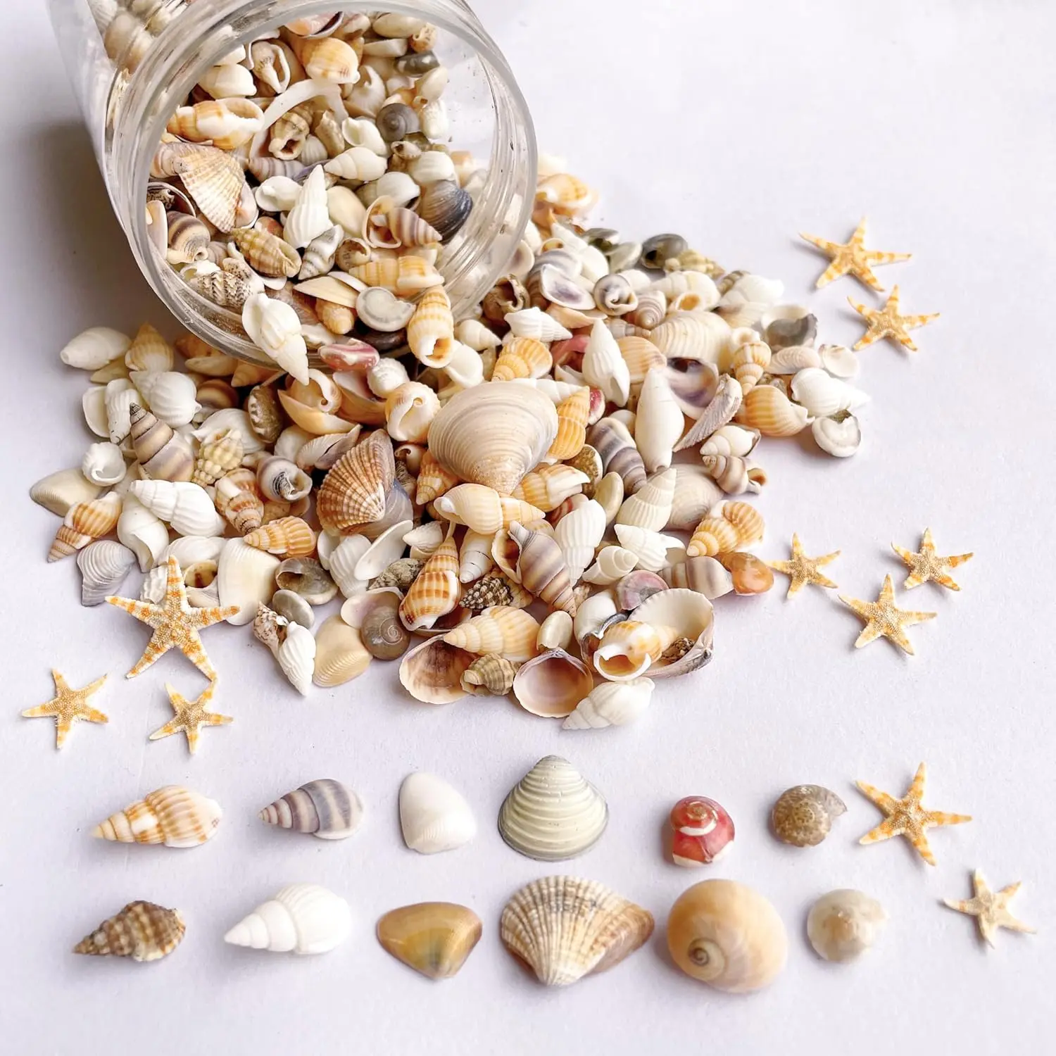 1200 count  Sea Shells &10 Small Starfish - Mixed  Beach Spiral Seashells for Fish Tank and Vase Filler, Beach Theme Party, Wedding Decor - DIY Craft Supplies