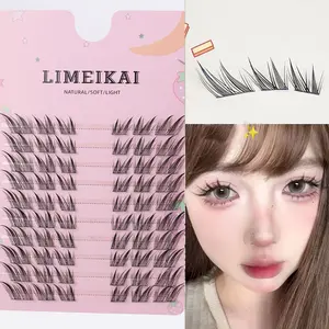 Natural Look Anime False Eyelashes DIY Lash Extension, 60 Clusters, 9-14mm Mixed Length, C Curl, Role Play Style, Diy Eyelash Extensions
