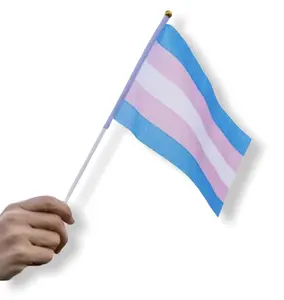 10 Transgender Small Flags - LGBT Party Decorations - 8.2" x 5.5" Flag Size - Plastic Stick - Polyester Fabric  - Weather & Fade Resistant
