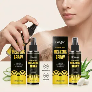 2-Pack Lace Wigs Spray, Hair Drying Invisible Wig Care, Styling & Maintenance, Convenient Daily Use, Essential Wig Care Solution