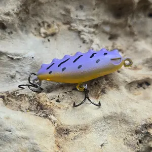 Catulus Mini Topwater Lure