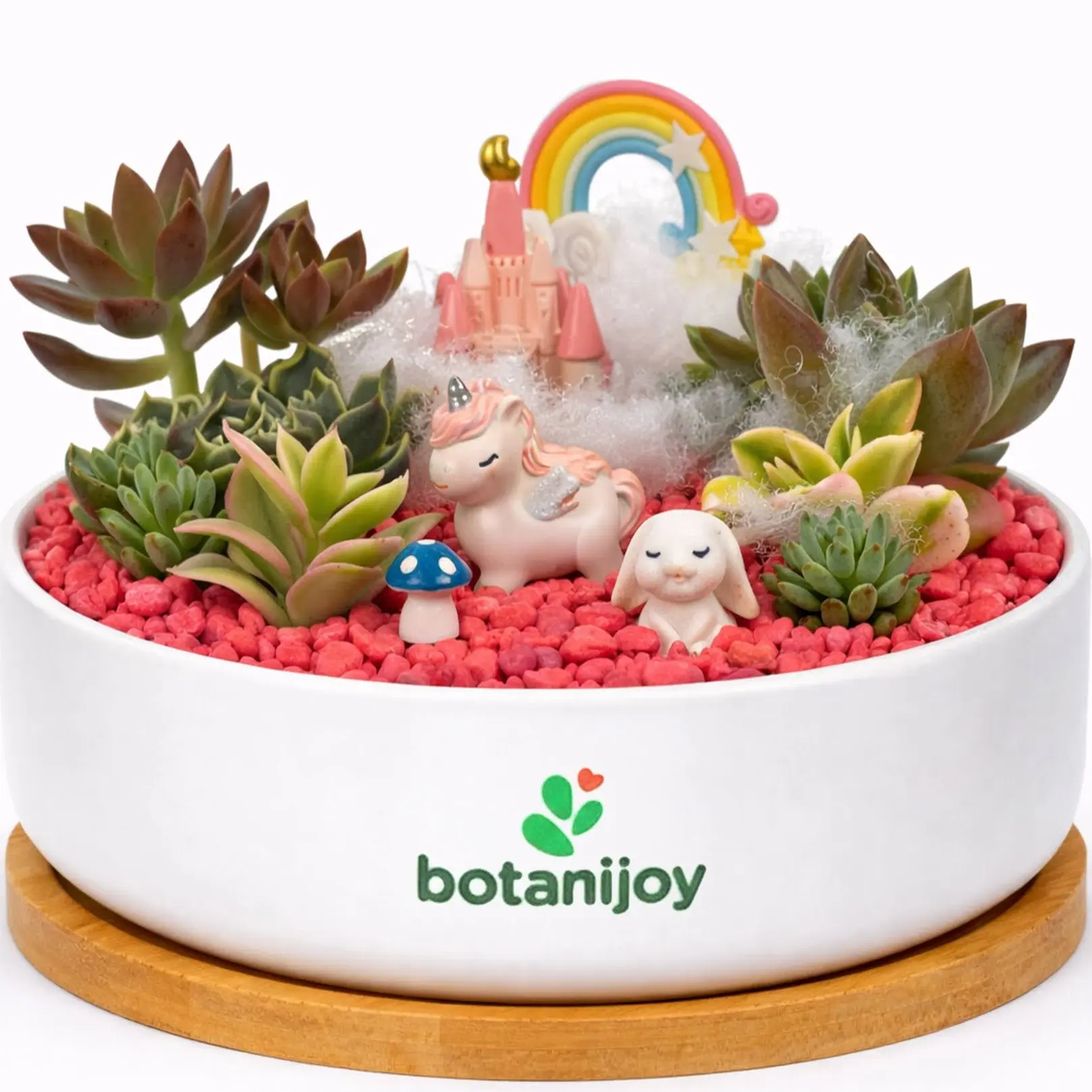 Botanijoy - Unicorn Skyland Tales Live Plant Succulent Kit - Indoor Home Decor for Plant Lovers, Garden Supplies
