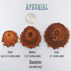 Knobcone Pine Cone Slices for Jewelry Crafts Core Heart Cut