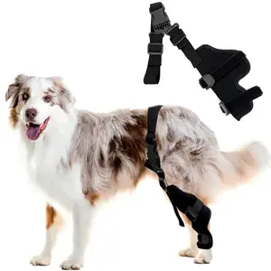 Pet Dog Knee Brace for Injured Rear Legs, Adjustable Support Bandage for Joint Injury Recovery, Comfortable Protective Gear for Dogs