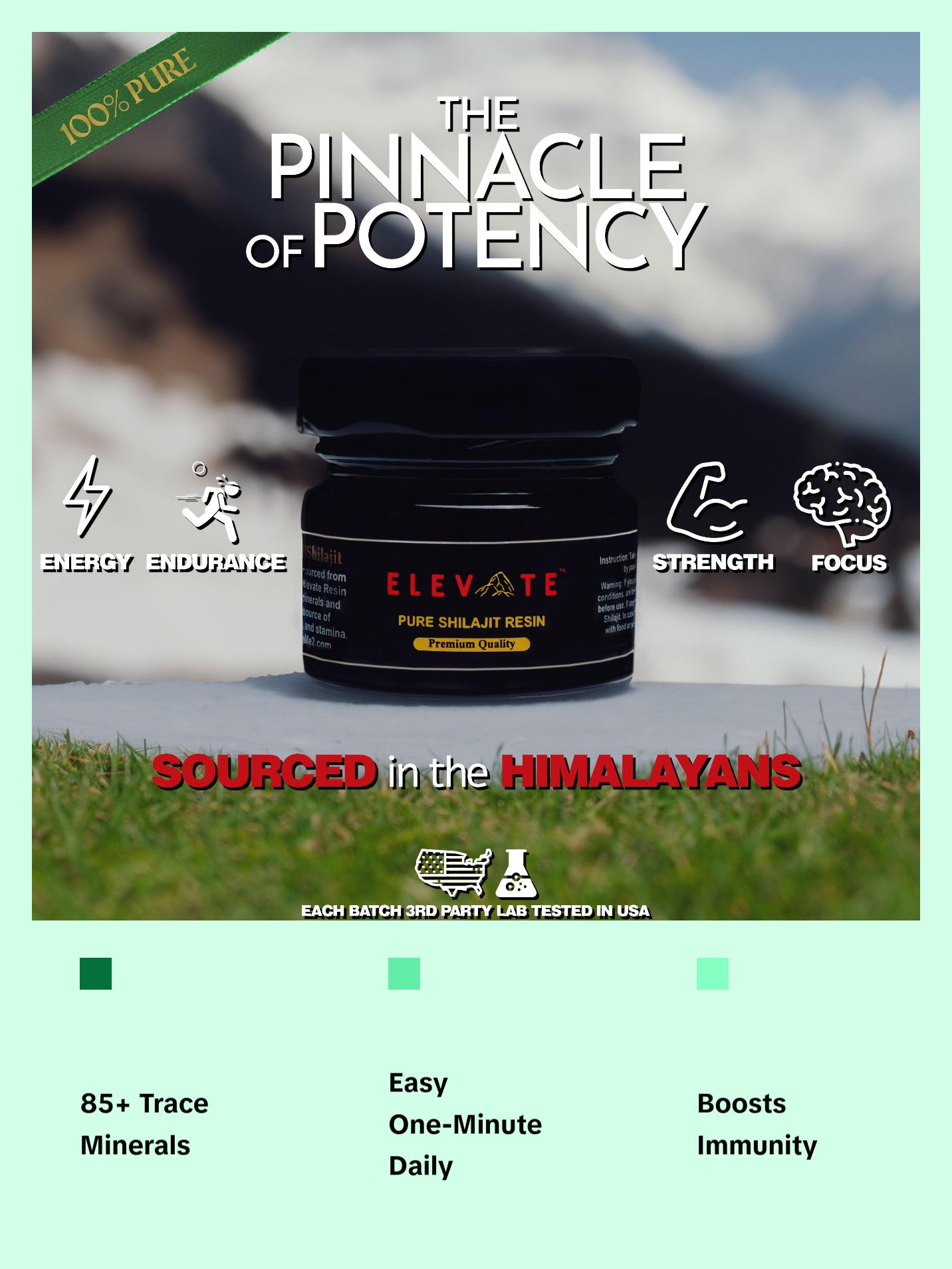 Elevate Welcome Kit, Pure Shilajit Resin Supplement Healthcare Edible Fitness Dietary Vitamin