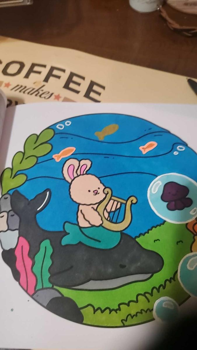 Item: B (3 pieces), Multi-color