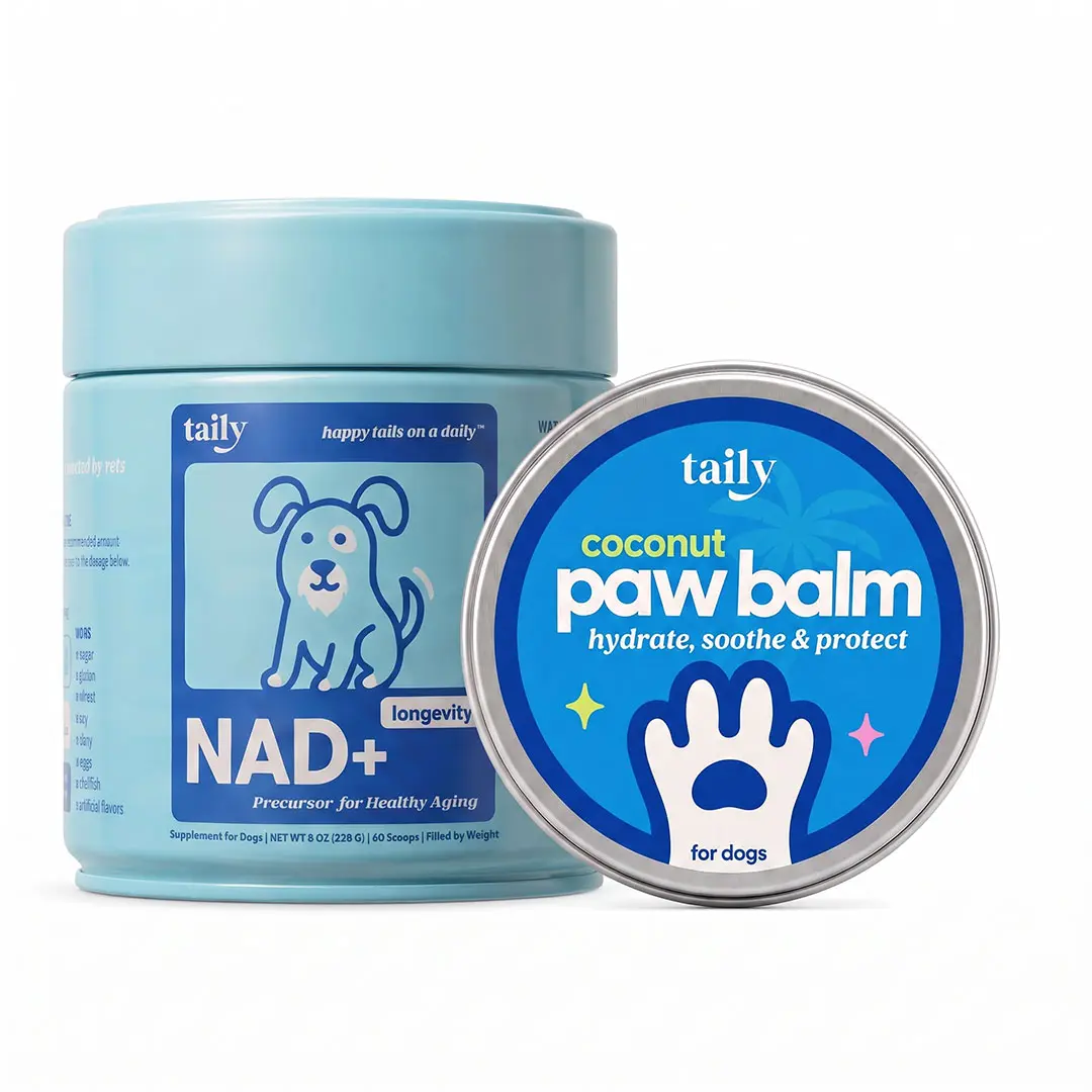 Taily NAD+ Longevity Powder for Dogs + Free Coconut Paw Balm | Golden Years | NR, NMN, Quercetin & Resveratrol | Supports Healthy Aging & Cellular Energy + Soothes Dry Cracked Paws & Noses