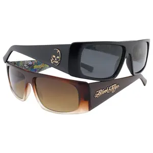 STOOPID FLY / Slightly Stoopid / Album art sunglass