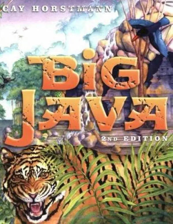 Used Literature Book - Big Java by Cay S. Horstmann (Paperback)
