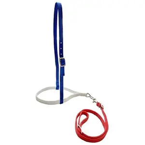 Red White And Blue Nylon Noseband And Tiedown