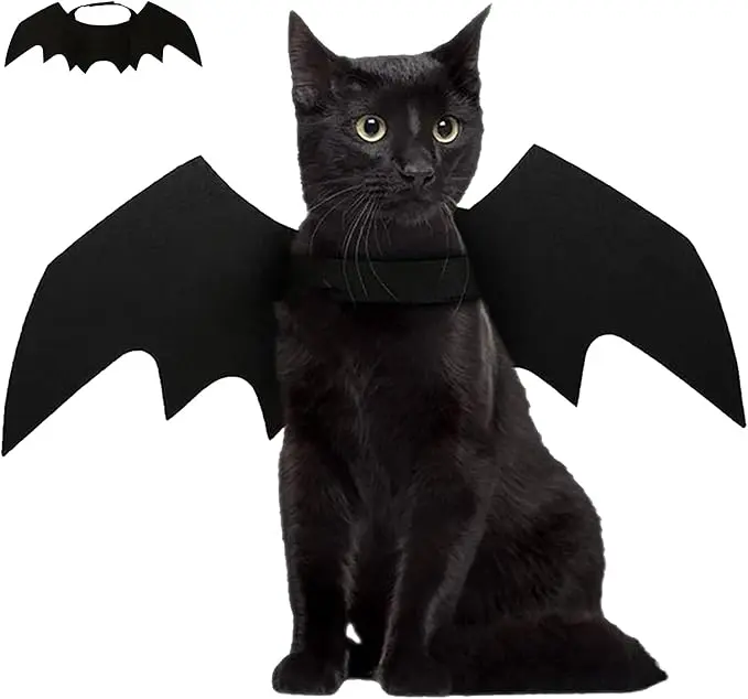 black cat dress up Black Cat Costume, Boatneck, Full Sleeves, Includes a Furry Tail – Kikimora  Fashion Store