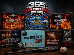 365 Sports Breaks Personal Dome Sports Memorabilia