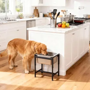 2.5 Gallon Elevated Dog Drinking Water Bowl, Animal Water Bowl for Large Dogs, Adjustable Height, Metal Base, Joint Relief, Easy Clean, Indoor Outdoor Use
