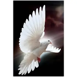 Retro Home Decor - Peace Bird White Dove Swing Flying In The Sun Wall Art Picture Animal White Dove - Canvas Poster Colorful Gifts Room Decoration Ornaments Artistic Photo Print