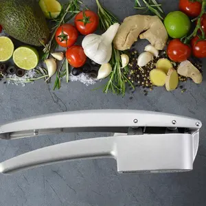 Kitchen Garlic Press Set – Premium Garlic Crusher for Effortless Minced Garlic and Easy Cleaning